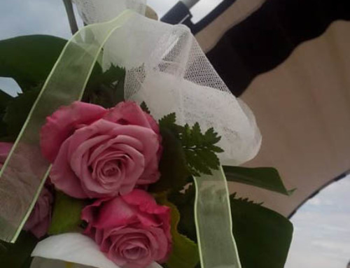 Matrimonio3